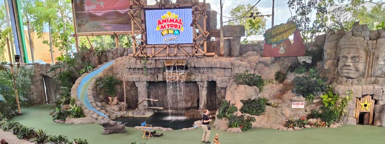 Animal Actors On Location - Universal Studios Florida